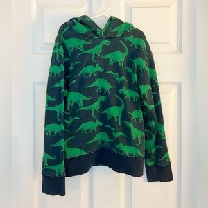 H&M Boys Dinosaur Hoodie Sweatshirt
